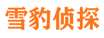 西充市婚外情调查